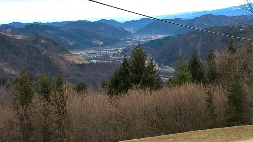 View from road over a valley with forests, fields and a town below, Forest in foreground a mixture of dark green conifers and brownish leafless trees.