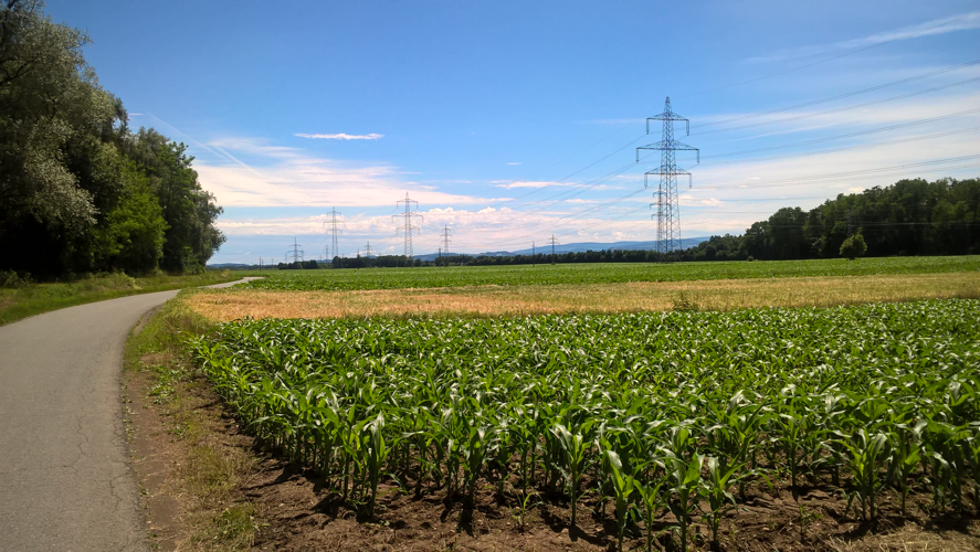 A flat plain. fields of different coloured crops. Power pylons in the distance. Blue sky.
