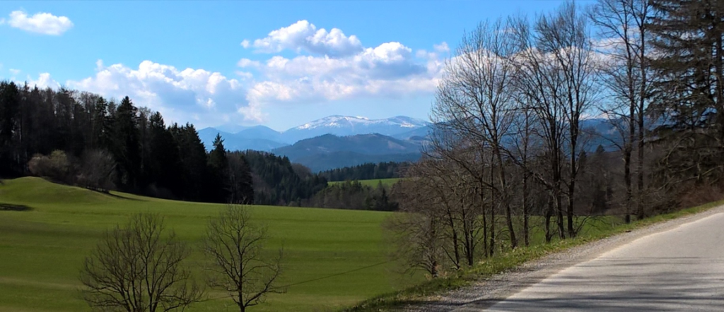 Green fields and some woods rising to bigger mountains in the background, white clouds in blue sky above them