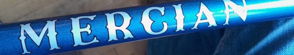 A blue metallic painted downtube with the text "MERCIAN", in sunlight