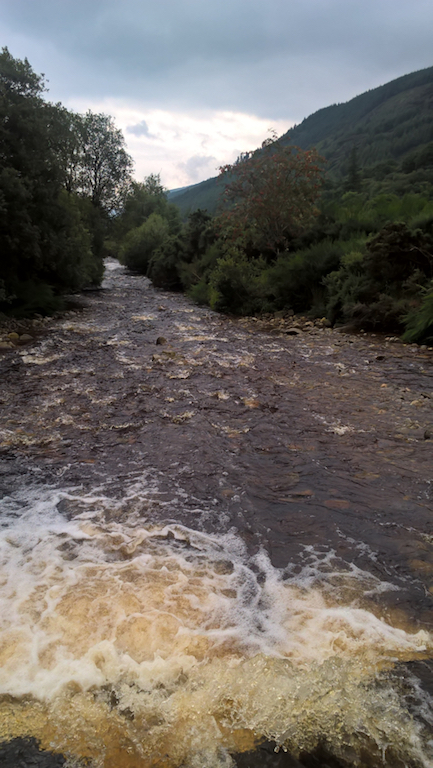 A river between wooded banks, turbulent water, cream-coloured froth, flowing away from camera