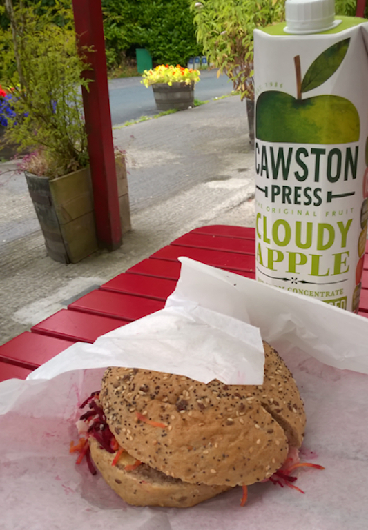On a red outdoor table, a sandwich and a carton of apple juice; tubs of flowers in the background
